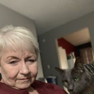 Meet your Posher, Dorothy